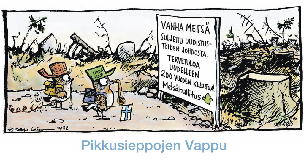 Pikkusieppojen Vappu ja vanha pesimämetsä avohakattuna